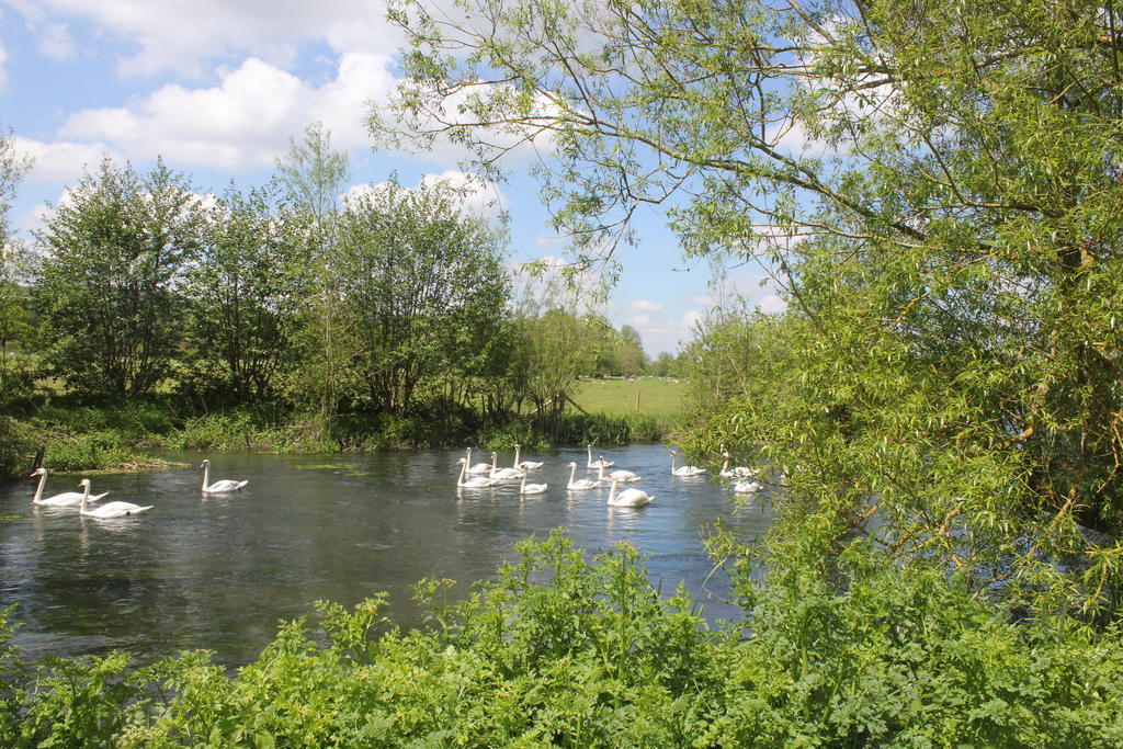 The Swan At Stoford Stapleford (Wiltshire) Exterior foto