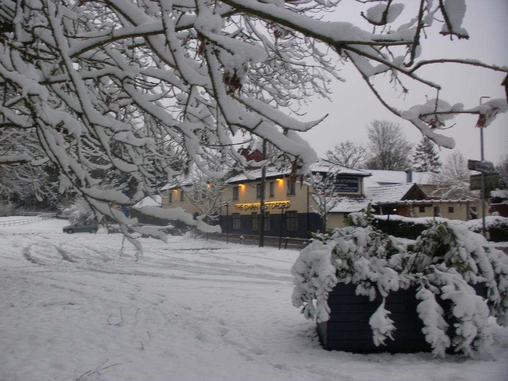 The Swan At Stoford Stapleford (Wiltshire) Exterior foto