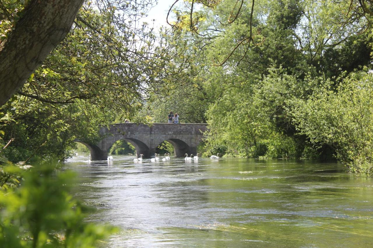 The Swan At Stoford Stapleford (Wiltshire) Exterior foto